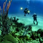 diving excursions in Lipari